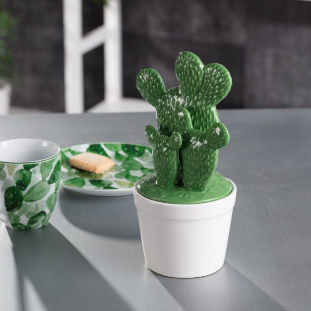 Дай маме   керамический контейнер Cactus Big   с декоративным кактусом - если вы ищете оригинальную форму,   Тропический я контейнер   - со стандартной формой, но с интересным тропическим принтом или классическим и элегантным   Харис контейнер   ,